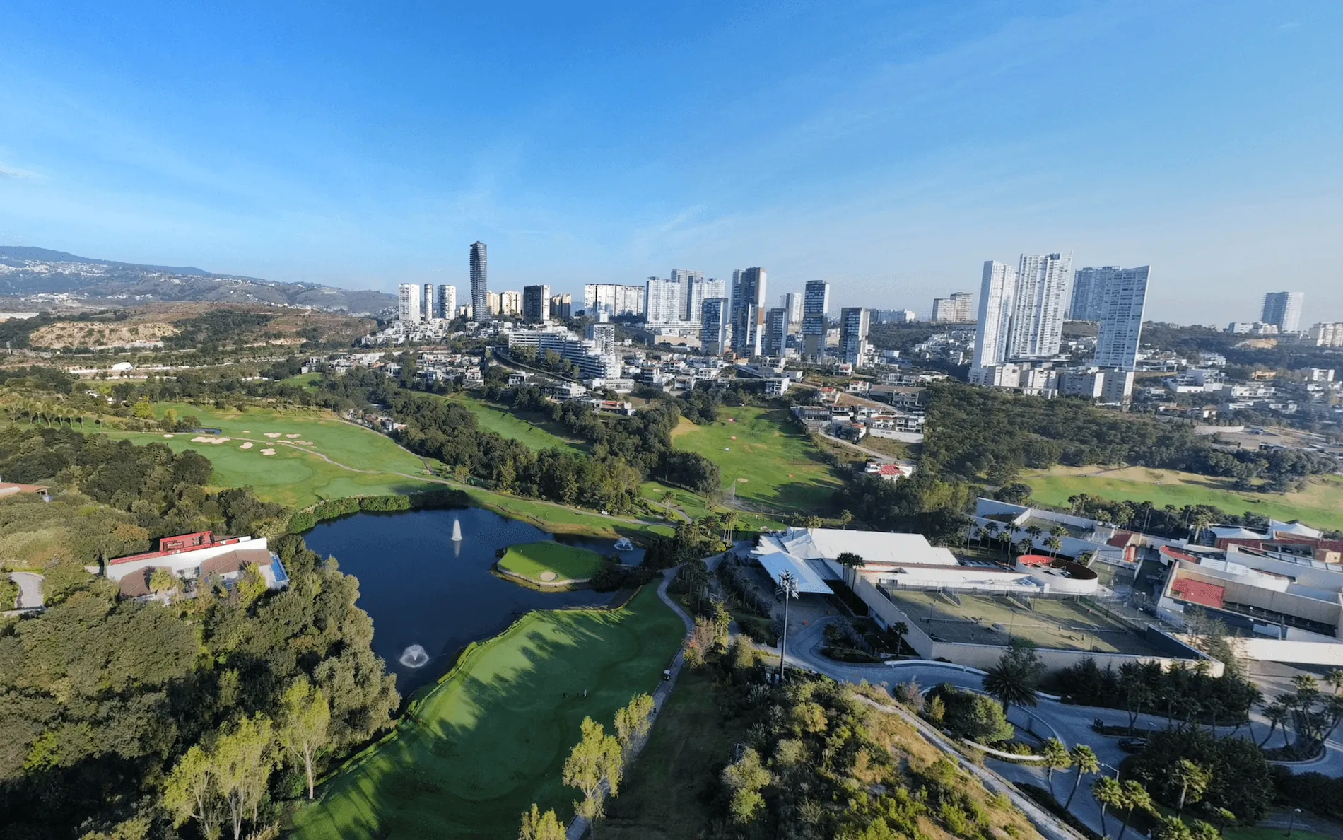 Proyecto digital Raiz Poniente - Nebra Studio Agencia de Desarrollo Web